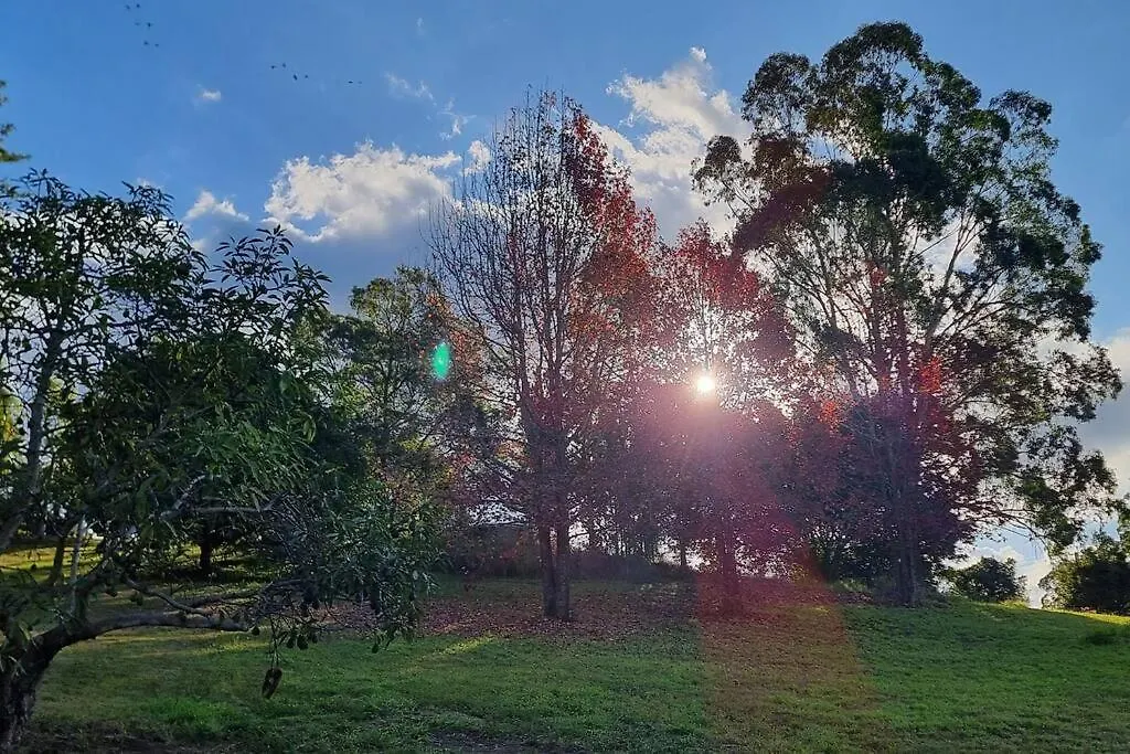Serenity Cottage Retreat Woombye
